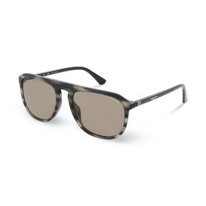 Police Brown Acetate Men's Sunglasses